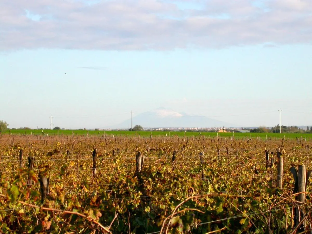 Dimora Del Piano - Wine Relais Villa Vittoria Italy